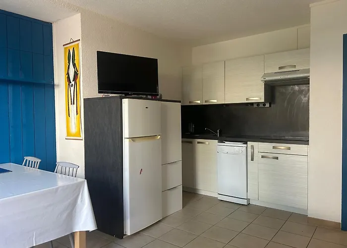 Saint-cyprien: T3 En Rdc, Terrasse, Parking, A 600m De La - Fr-1-793-15 Saint-Cyprien (Pyrenees-Orientales)
